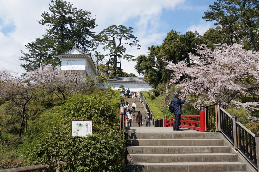 本丸へとつながる赤い九輪橋も桜撮影の名スポット