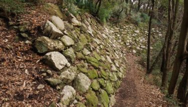 二ノ丸 西北部下段の高石垣