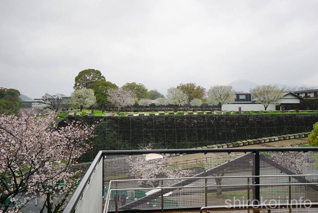 熊本城　特別公開通路から奉行丸を眺める