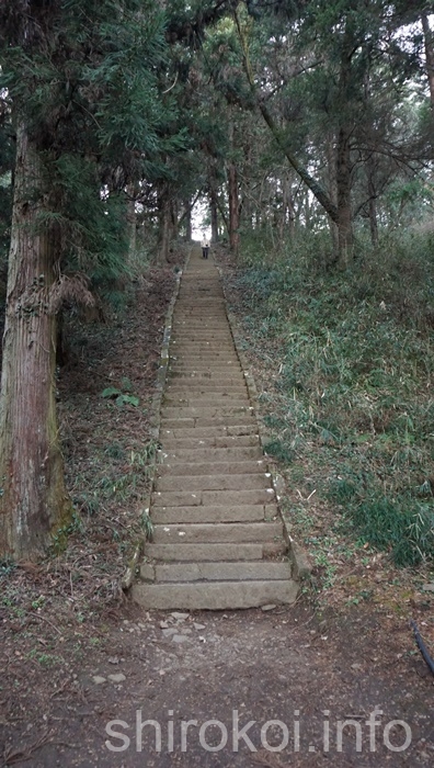 新府城 真田丸の石段