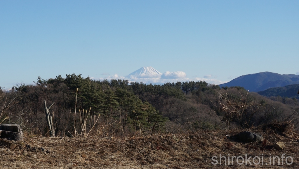 笹尾塁から見える富士山