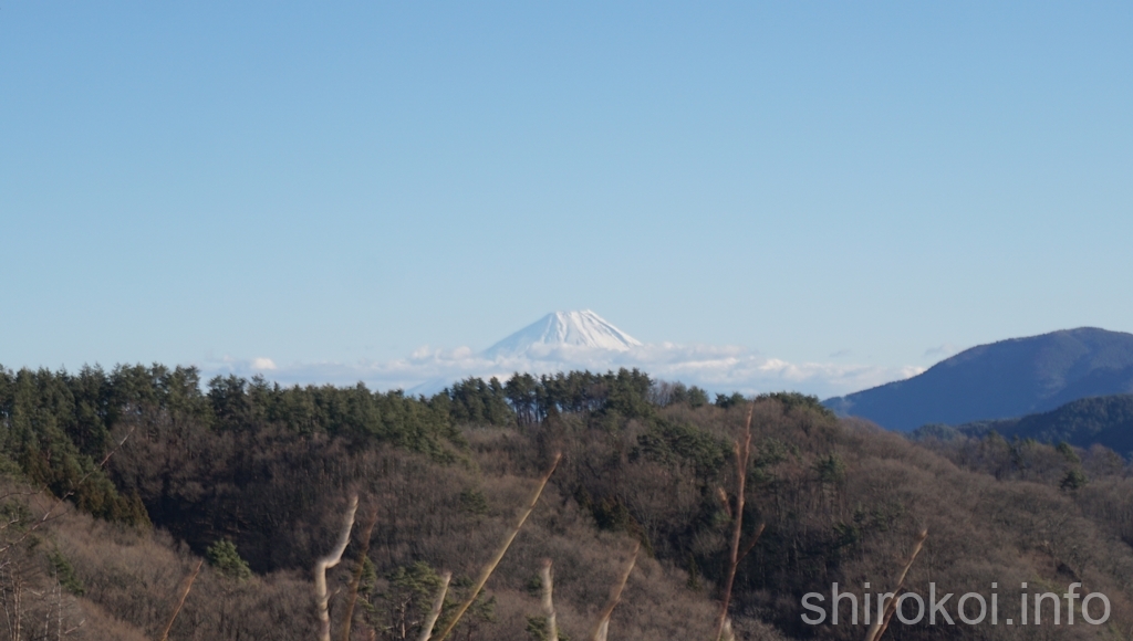 笹尾塁から眺める富士山