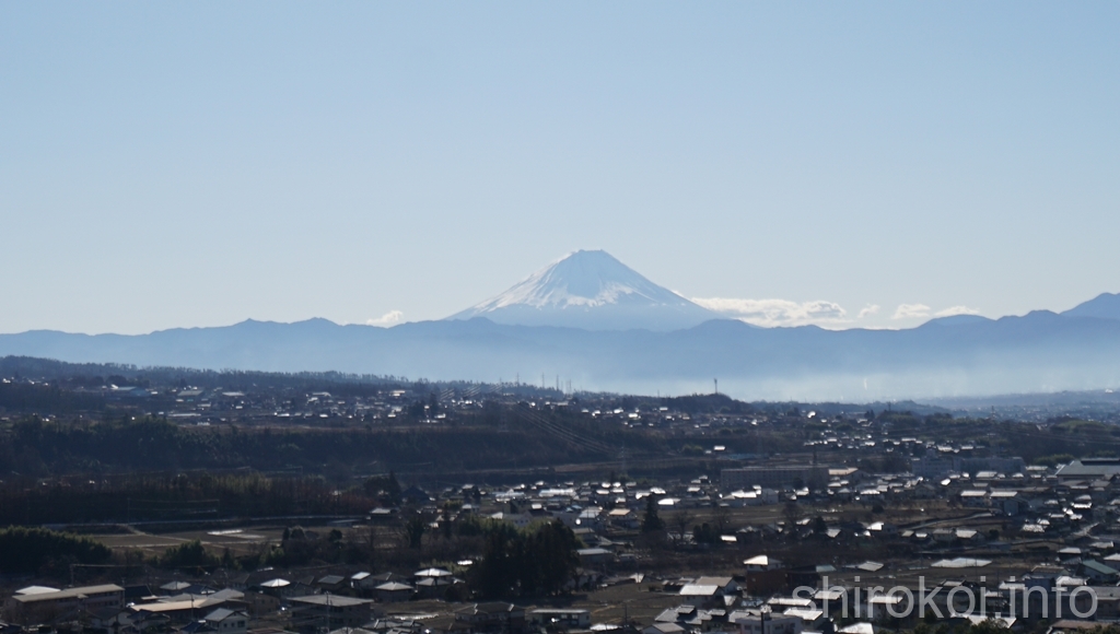 若神子城から見える富士山
