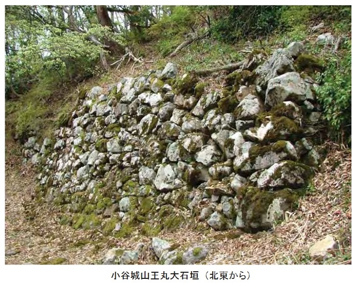 小谷城　山王丸東側の石垣