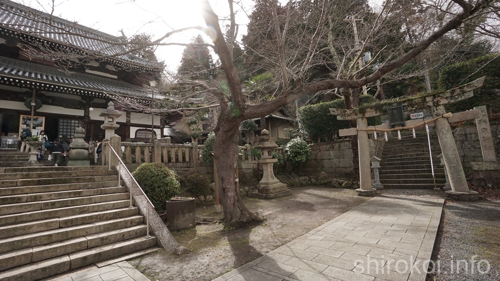 有馬温泉　温泉寺と温泉神社